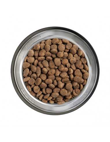 BELCANDO FINEST GF SENIOR 4 KG + ENVÍO GRATIS - Imagen 3